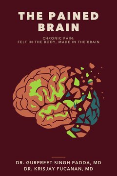 The Pained Brain
